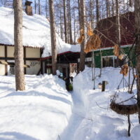 10日振りに中札内へ帰って来たら、６０センチ以上の積雪でした！