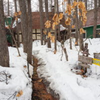 いよいよ年度末の３/３１になりました。今年は残雪が多いかな！