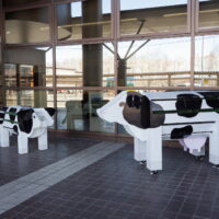 エゾリス君は日向ぼっこ！お客さんの送迎ついでに帯広空港を見学。