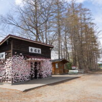 地震の後、建て替えられて１３年、桜咲く「幸福駅」に行って来ました。